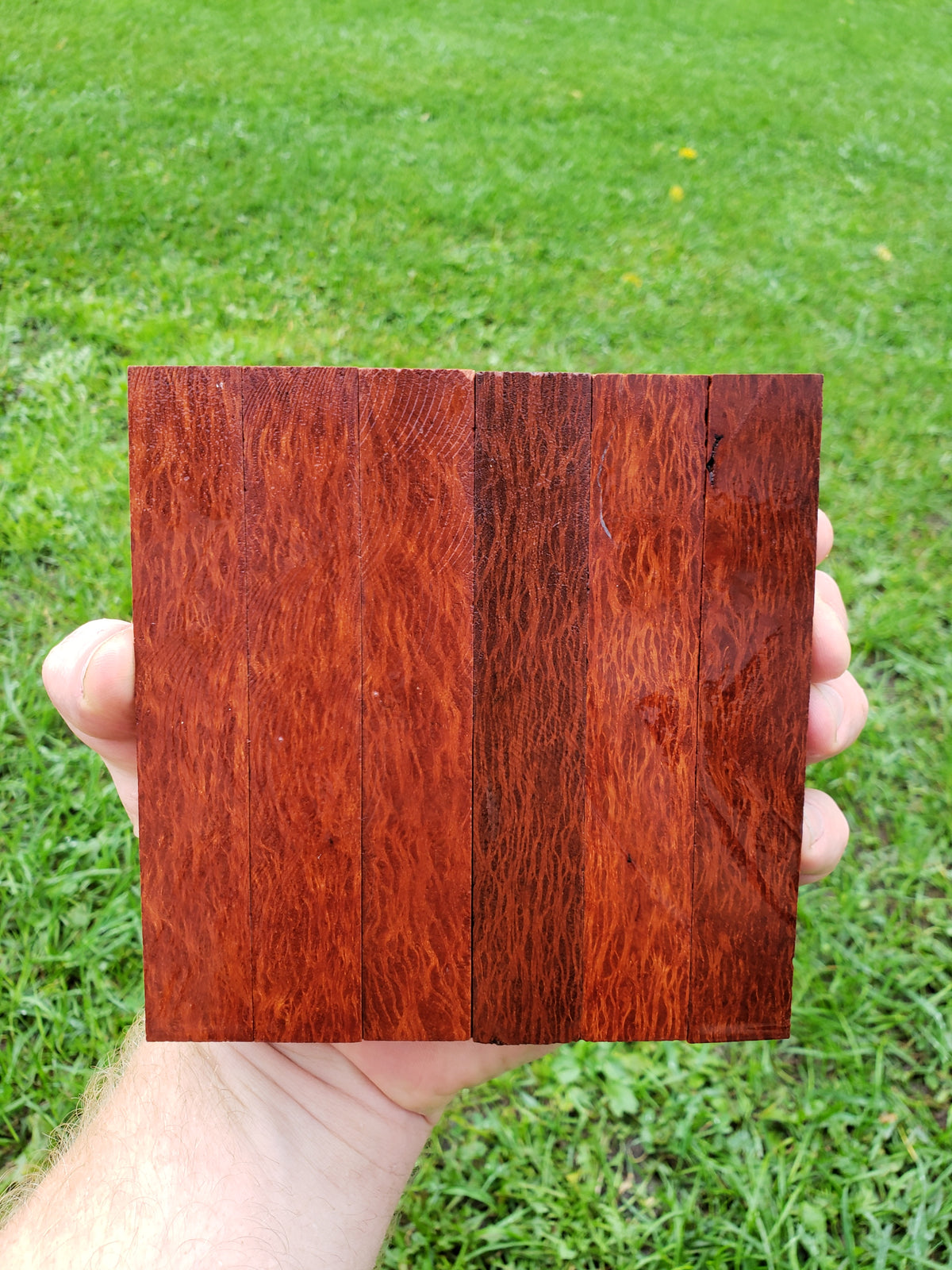 Australian Lace Sheoak pen blank